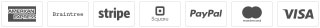 Different Logos of payment options including VISA, Master cards, PayPal, stripe and others